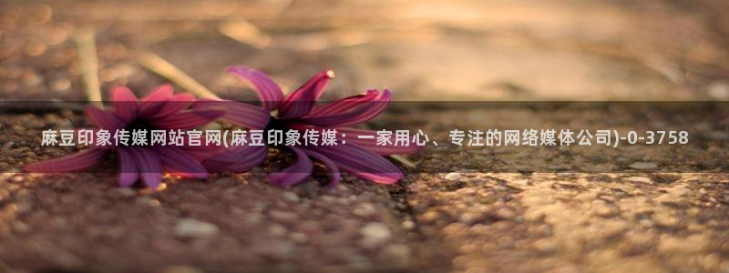 求麻豆传媒得官网：麻豆印象传媒网站官网(麻豆印象传媒：一家用心、专注的网络媒体公司)