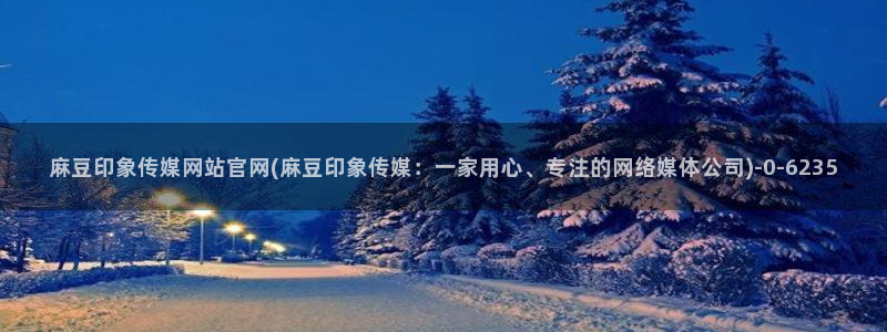 麻豆传媒官网model：麻豆印象传媒网站官网(麻豆印象传媒：一家用心、专注的网络媒体公司)