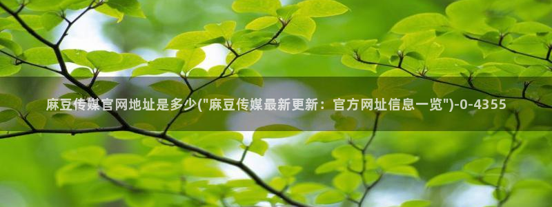 麻豆传媒官网污：麻豆传媒官网地址是多少(\