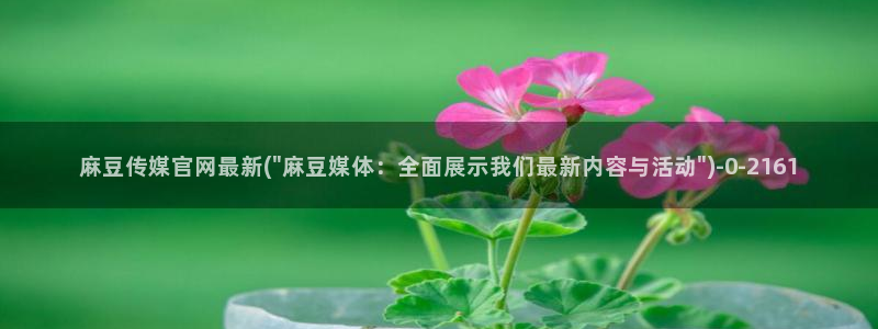 麻豆传媒影视官网：麻豆传媒官网最新(\