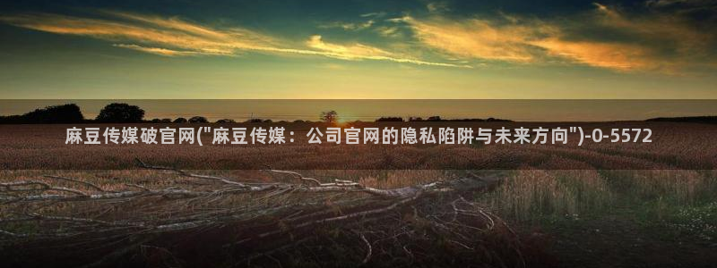 麻豆tv传媒官网入口：麻豆传媒破官网(\
