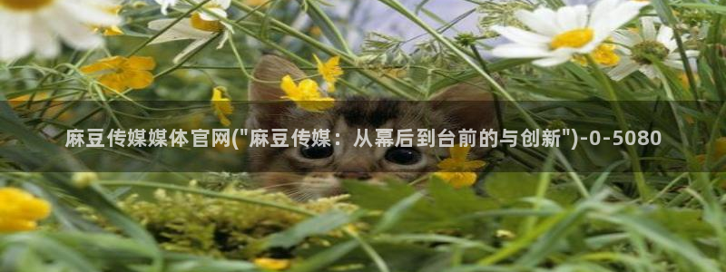 麻豆传媒官网怎么破解：麻豆传媒媒体官网(\