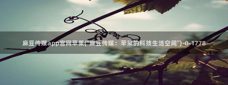 mdapp麻豆传媒官网app：麻豆传媒app官网苹果(\