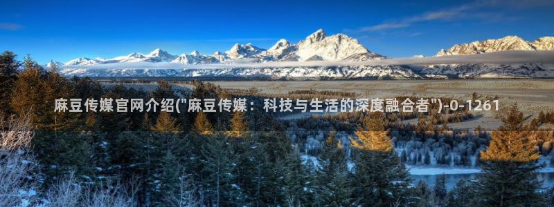 mdpub麻豆传媒官网pub：麻豆传媒官网介绍(\