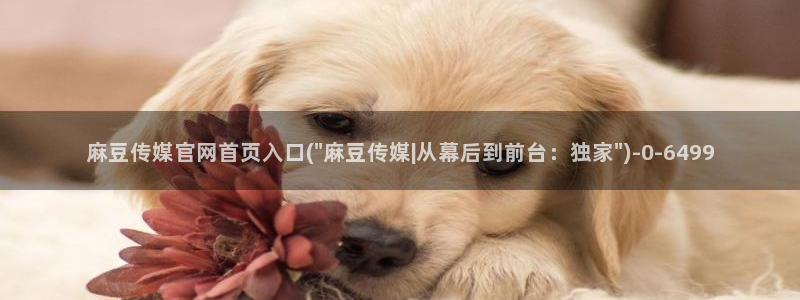 麻豆tv传媒官网：麻豆传媒官网首页入口(\