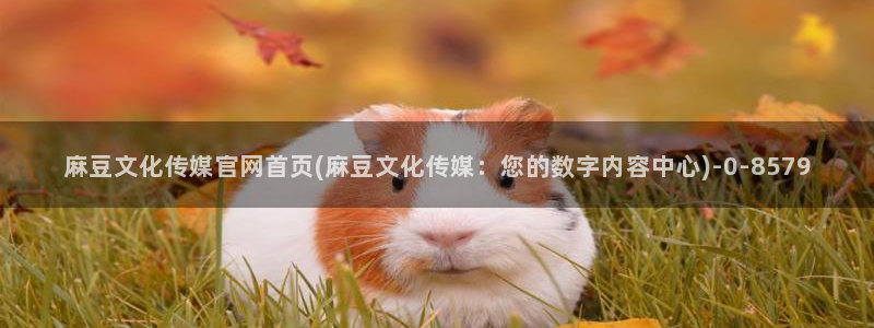 麻豆传媒官网首页入：麻豆文化传媒官网首页(麻豆文化传媒：您的数字内容中心)