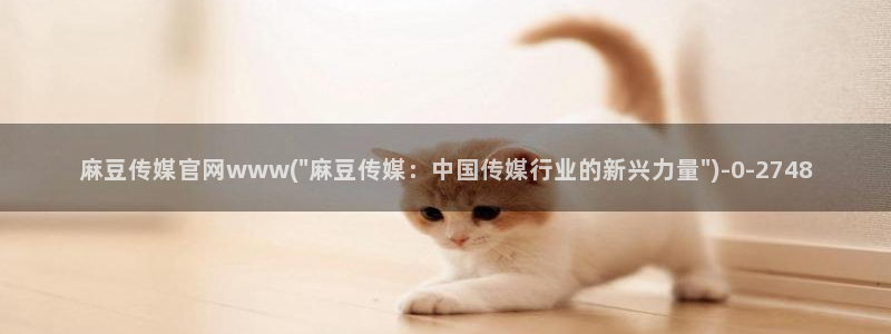 麻豆传媒官网番号：麻豆传媒官网www(\