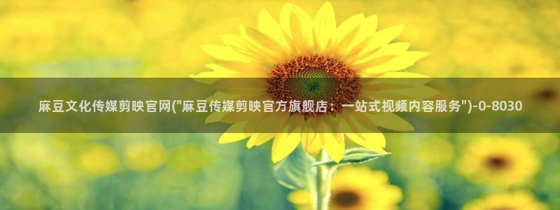 麻豆传媒官网连接：麻豆文化传媒剪映官网(\