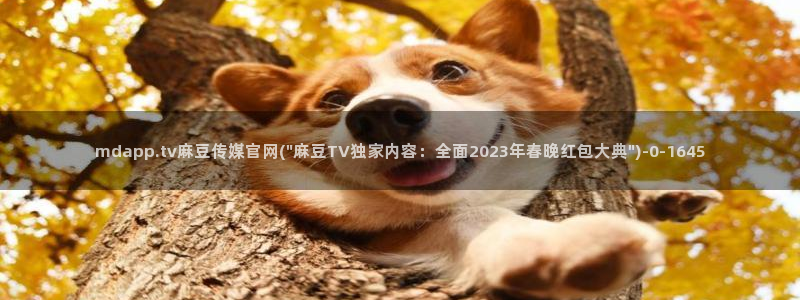 麻豆传媒官网番号