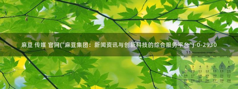 麻豆传媒官网小蝌蚪：麻豆 传媒 官网(\