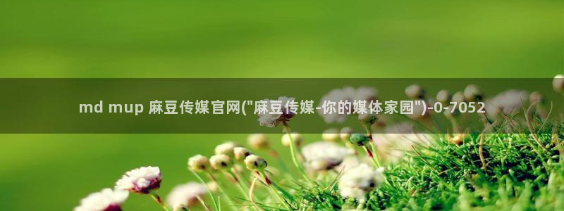 麻豆印画传媒官网