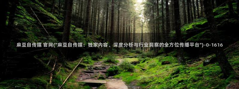 麻豆传媒官网版下载